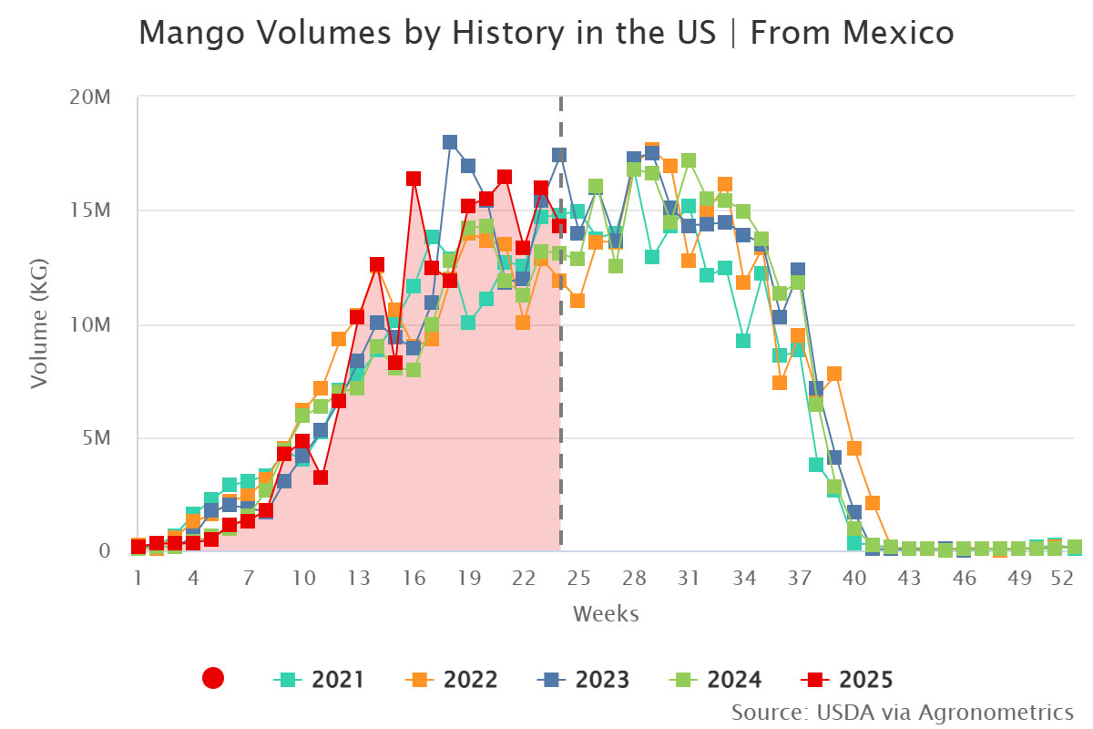 mango volumes by history